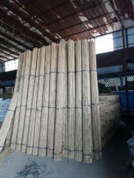 Middle poles